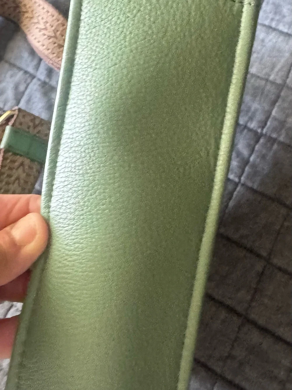 HOBO Sage Green Leather Hobo with Woven Strap